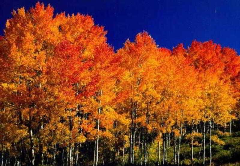 Fairfield Inn And Suites By Marriott Colorado Springs North Air Force Academy Gleneagle Bagian luar foto